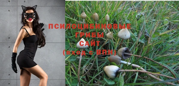 таблы Аркадак