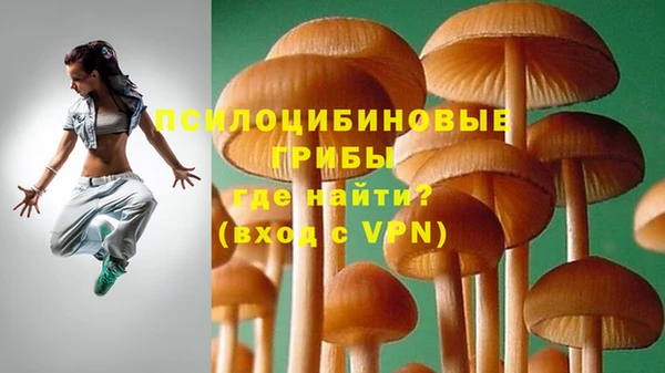 винт Армянск