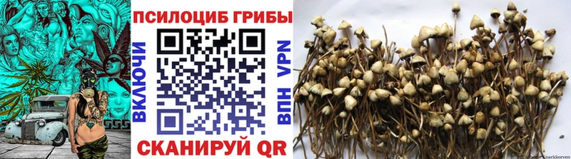 Галлюциногенные грибы GOLDEN TEACHER  Приморско-Ахтарск 